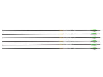 Gold Tip Pierce Platinum 400 Spine Arrows, 6 Pack