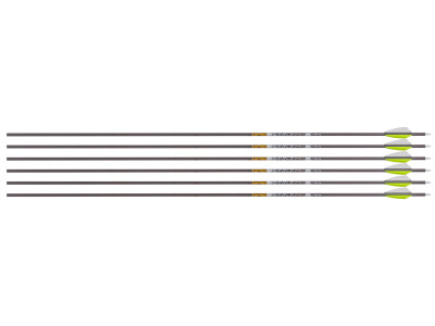 Gold Tip Pierce Platinum 250 Spine Arrows, 6 Pack
