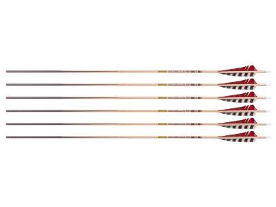 Gold Tip Traditional Classic XT 600 Spine Arrows, 6 Pack