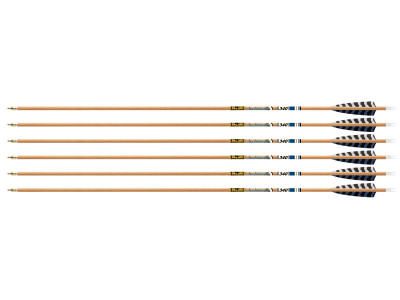 Gold Tip Traditional Classic XT 340 Spine Arrows, 6 Pack