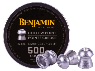 Benjamin Discovery .22