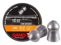 Gamo TS-22 .22