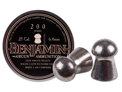 Benjamin .25 Cal