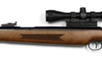Diana RWS 52, Image 1