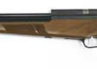 Evanix Renegade Rifle, Image 1