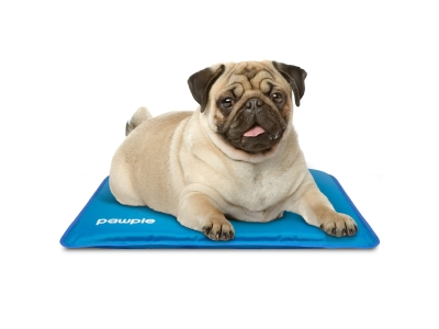 Pawple Dog Cooling Mat 24" x 17" Pet Pad for Kennels, Crates and Beds