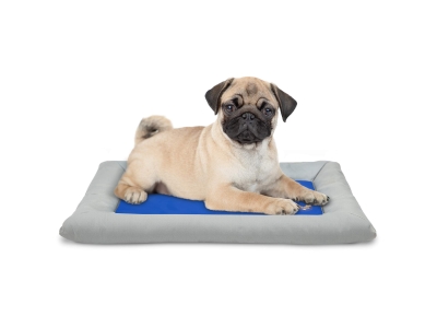 Arf Pets Self Cooling Pet Bed, Gel-based Portable Dog Mat, Small, Blue