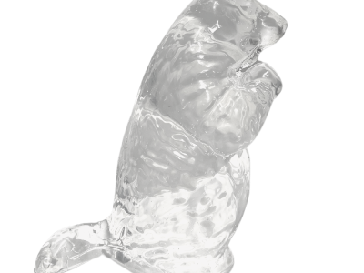 Clear Ballistics Head 10% Ballistic Gel