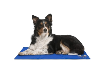 Arf Pets Self Cooling Mat, Gel Based Dog Mat & Pet Bed, Medium, Blue