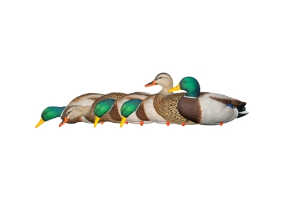 Avian-X Top Flight Full Body Mallard Duck Decoy Set 6 Pack