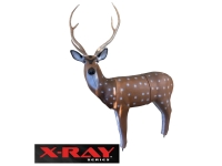 Big Shot RealWild, Image 1