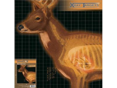 Champion X-Ray Paper Targets, Deer, 25x25  - 6pk