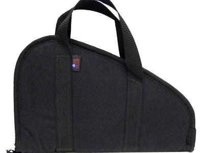 Ace Case 15