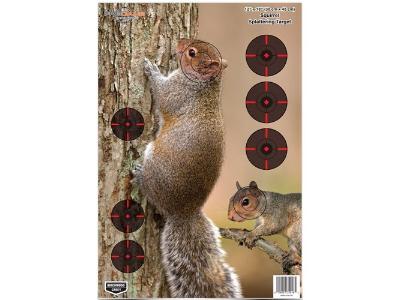 Birchwood Casey Pregame Squirrel Target, 12"x18", 8ct