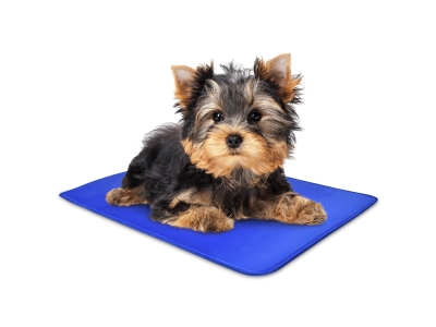 Arf Pets Self Cooling Mat, Gel Based Dog Mat & Pet Bed, X-Small, Blue