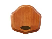 Allen EZ-Mount Showcase, Image 1