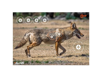 Allen EZ Aim Coyote Paper Shooting Targets, 2 count