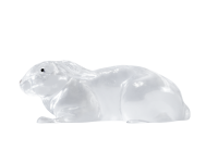Clear Ballistic Gel, Image 1
