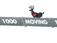 Gamo MTS 1000, Image 1