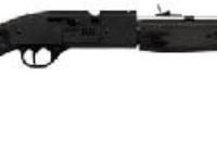 Crosman 781, Image 1