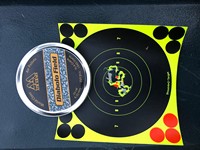 Customer image for Air Arms Field .25 Cal | Pyramyd AIR 8