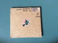 Customer image for Air Arms Field .25 Cal | Pyramyd AIR 3