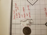 Customer image for Air Arms Field .25 Cal | Pyramyd AIR 7