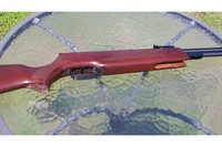 Customer image for Tech Force TF97 air rifle | Pyramyd AIR 2