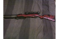 Customer image for Crosman Storm XT Scoped Air Rifle | Pyramyd AIR 2