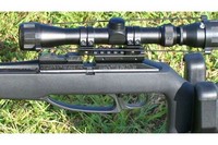 Customer image for Daisy POWERLINE 953 TargetPro | Pyramyd AIR 5