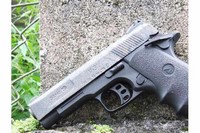 Customer image for Gamo V3 | Pyramyd AIR 2