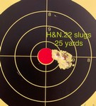 Customer image for H&N Slug HP, .218 Cal. .22 (5.5mm) Cal | Pyramyd AIR 1