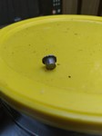 Customer image for H&N Slug HP, .218 Cal. .22 (5.5mm) Cal | Pyramyd AIR 3