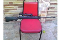 Customer image for Winchester WINCHESTER 1000X | Pyramyd AIR 1