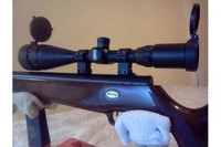 Customer image for Beeman Mach 12.5 Air Rifle, RS3 Trigger | Pyramyd AIR 5