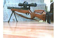 Customer image for Hatsan BT65 SB Repeating Air Rifle, Walnut Stock | Pyramyd AIR 1