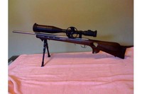 Customer image for Leapers Accushot 6-24x56AO SWAT Rifle | Pyramyd AIR 4