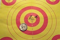 Customer image for Diana RWS 350 P Magnum | Pyramyd AIR 2
