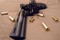 Customer image for Colt Python CO2 Revolver | Pyramyd AIR 4