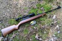 Customer image for Diana 34 Striker Combo, TO6 Trigger | Pyramyd AIR 3