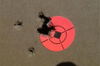 Customer image for Benjamin Trail NP2 Air Rifle, Scope, Wood Stock | Pyramyd AIR 2