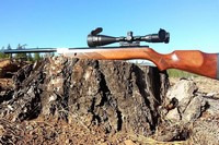 Customer image for Gamo Hunter Extreme SE | Pyramyd AIR 3