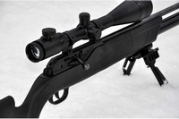 Customer image for Walther 1250 Dominator | Pyramyd AIR 1