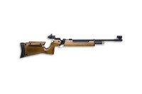 Customer image for Air Arms S200 Target | Pyramyd AIR 2
