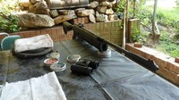 Customer image for Webley Spector Air Rifle | Pyramyd AIR 1