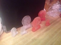 Customer image for Ecotarget Ice Target Mold, 2 | Pyramyd AIR 1