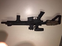 Customer image for Crosman DPMS SBR | Pyramyd AIR 11