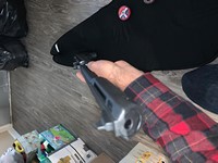 Customer image for Benjamin Ironhide | Pyramyd AIR 3