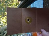 Customer image for Crosman Diamondback SBD | Pyramyd AIR 3
