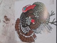 Customer image for Crosman Diamondback SBD | Pyramyd AIR 2